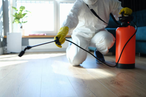 Reliable Hoarding Cleanup contractor in Westville, IL by Dulley Family Biohazard Services